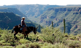 Cabalgando en la montaña